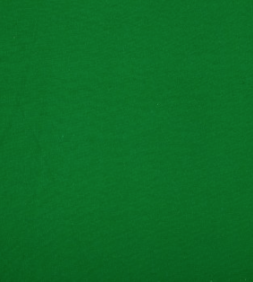 green spandex florida photo booth rental curtain