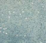 ocean mist florida photo booth rental curtain