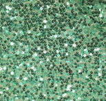 sea green florida photo booth rental curtain