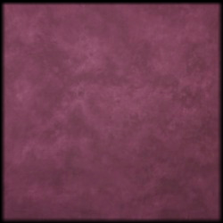 burgundy muslin florida photo booth rental curtain