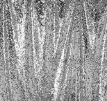 florida photo booth backdrop